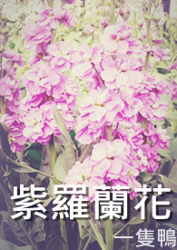 紫罗兰花的花语是什么